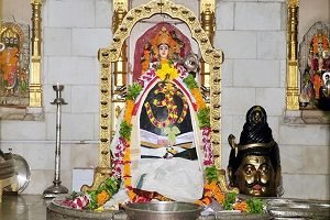 shona_amarkantak